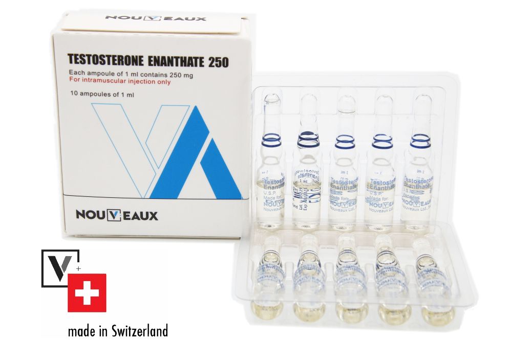 testo-enant.jpg